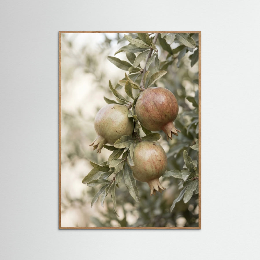 Green Olives