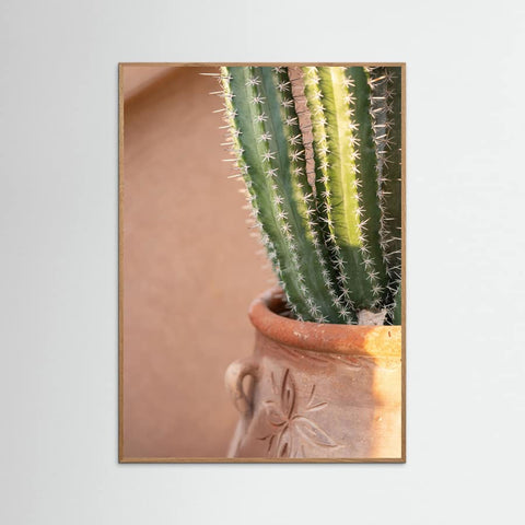 Oak Nature Green On Orange | Marrakech Travel Photography Poster