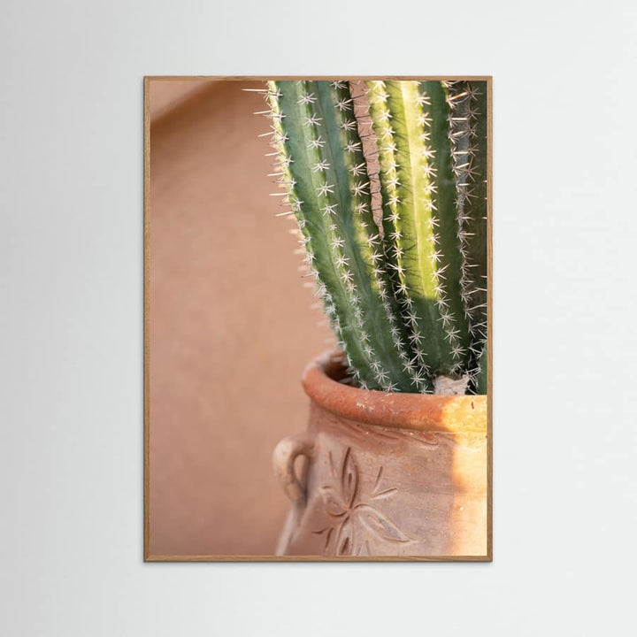 Fotografie Collectie