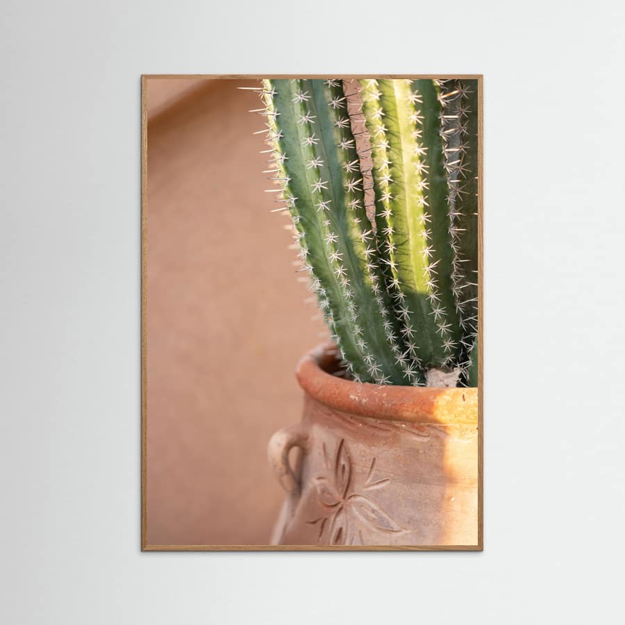 Poster Green On Orange | Marrakech Travel Photography