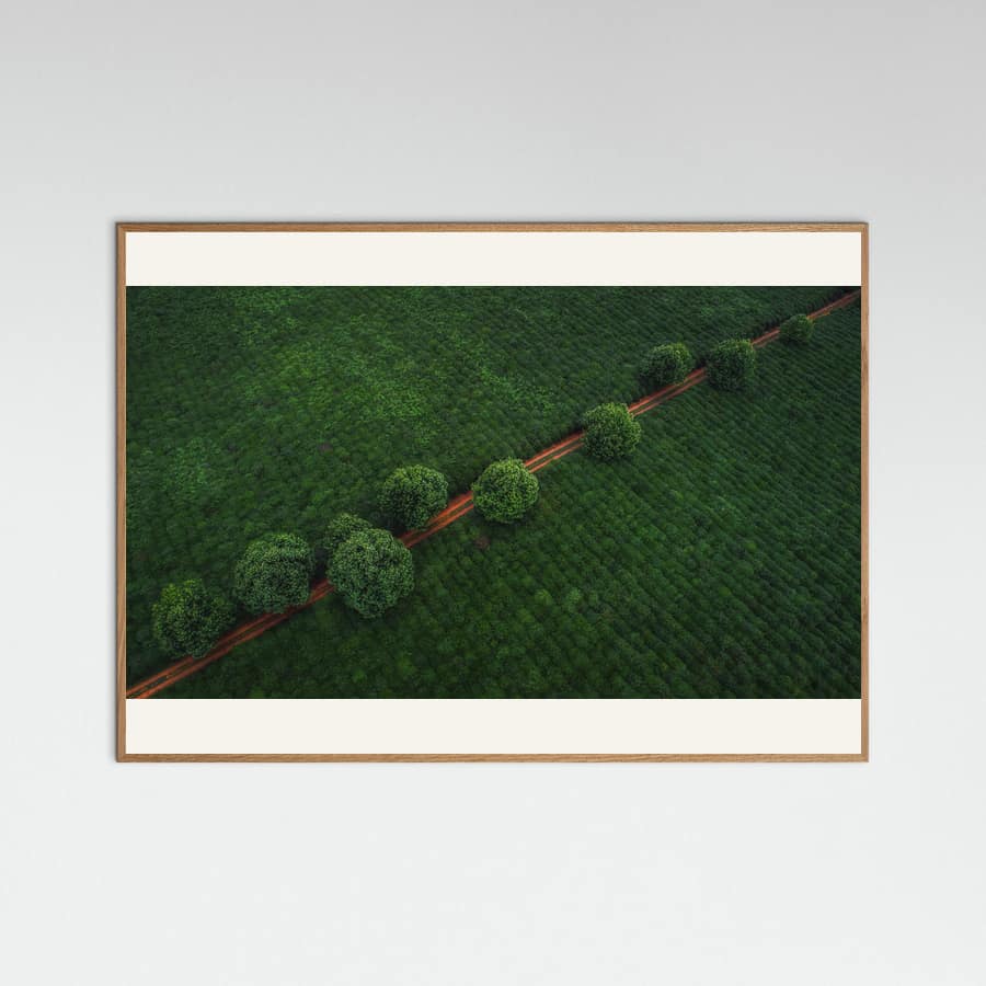 Plakat Green Pearls