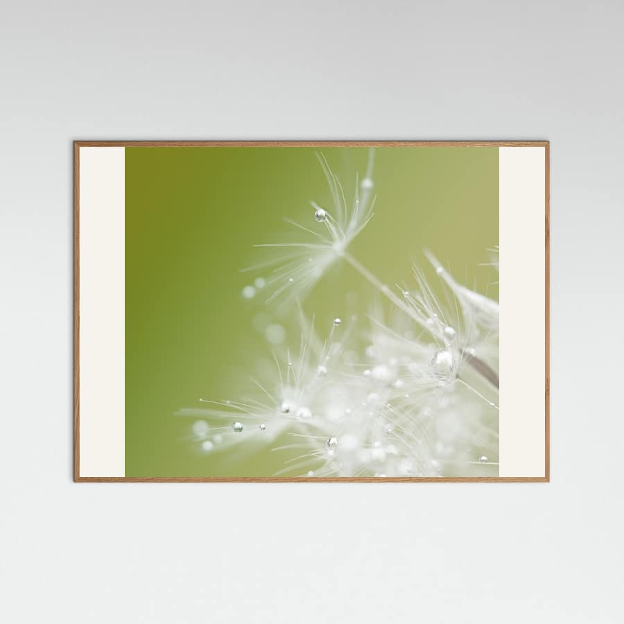 Green Poster – poster and art print