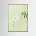 Oak Nature Green Whisper
