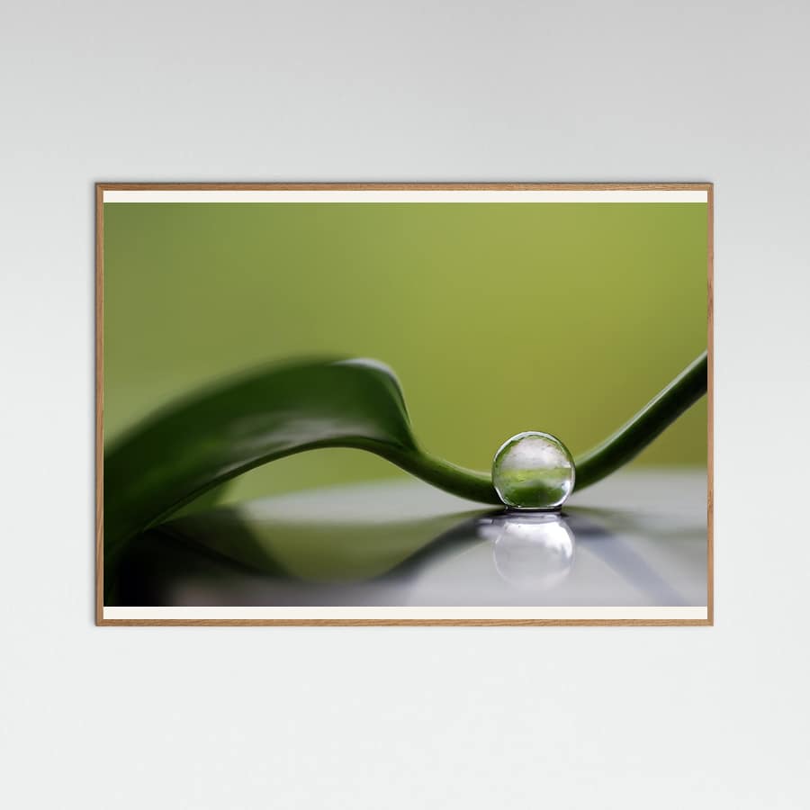 Green harmony Poster – plakat og kunsttryk