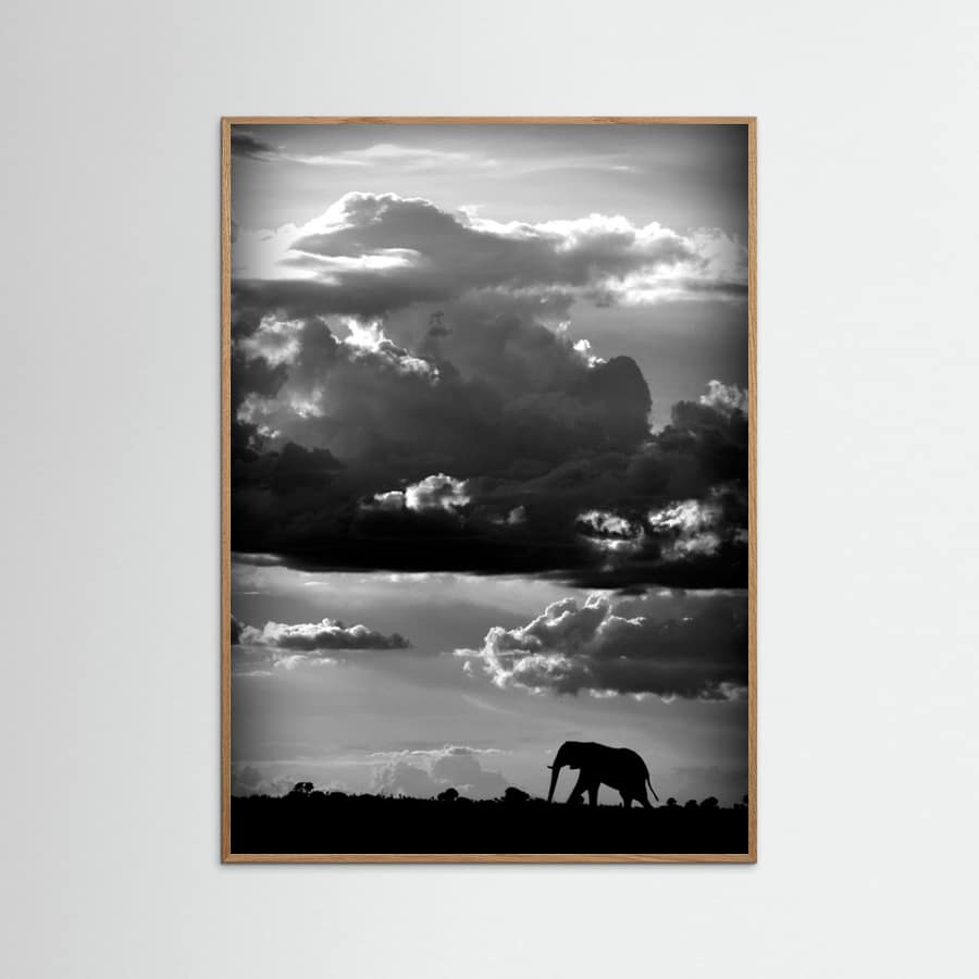 He walks under an African Sky Poster – poster and art print