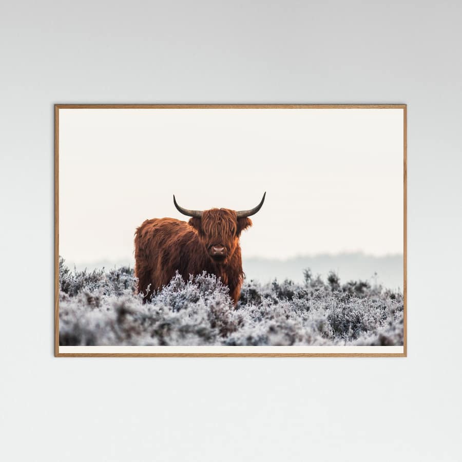 Highlander Poster – plakat og kunsttryk