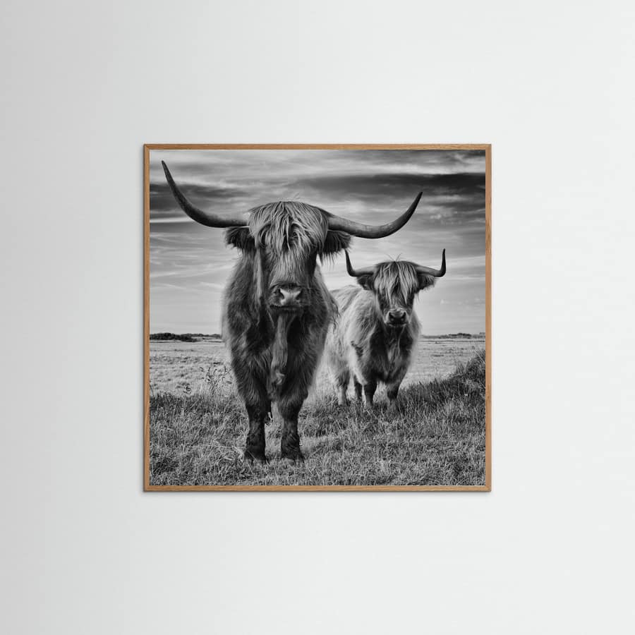 Highlands Poster