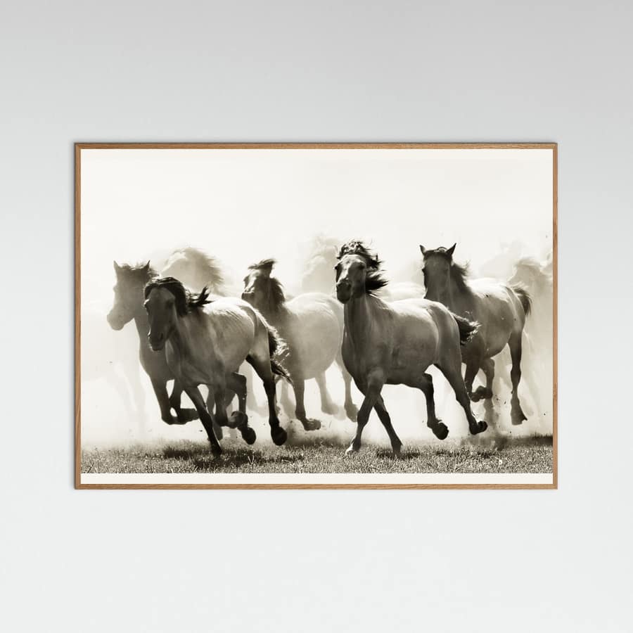 Horse -juliste – juliste ja taidepainatus