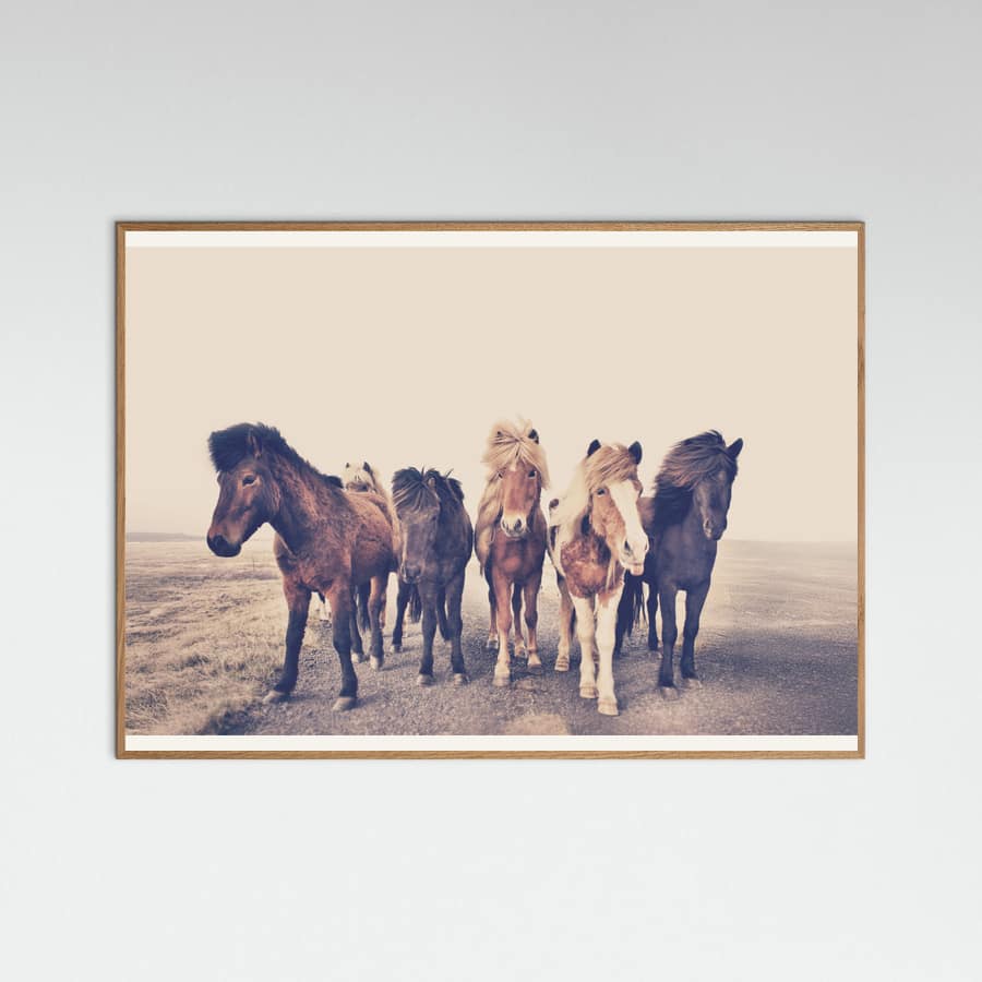 Horses Poster