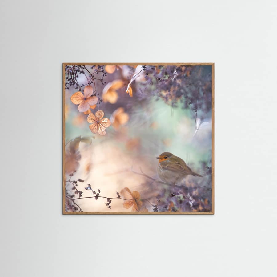 Hydrangea fantasy Poster