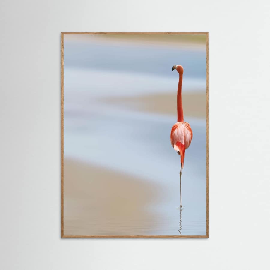 I Poster – plakat og kunsttryk