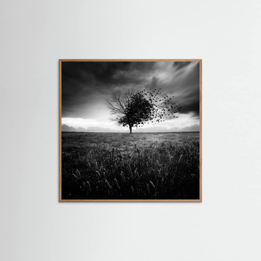 Illusion d'un printemps perdu Poster – plakat og kunsttryk