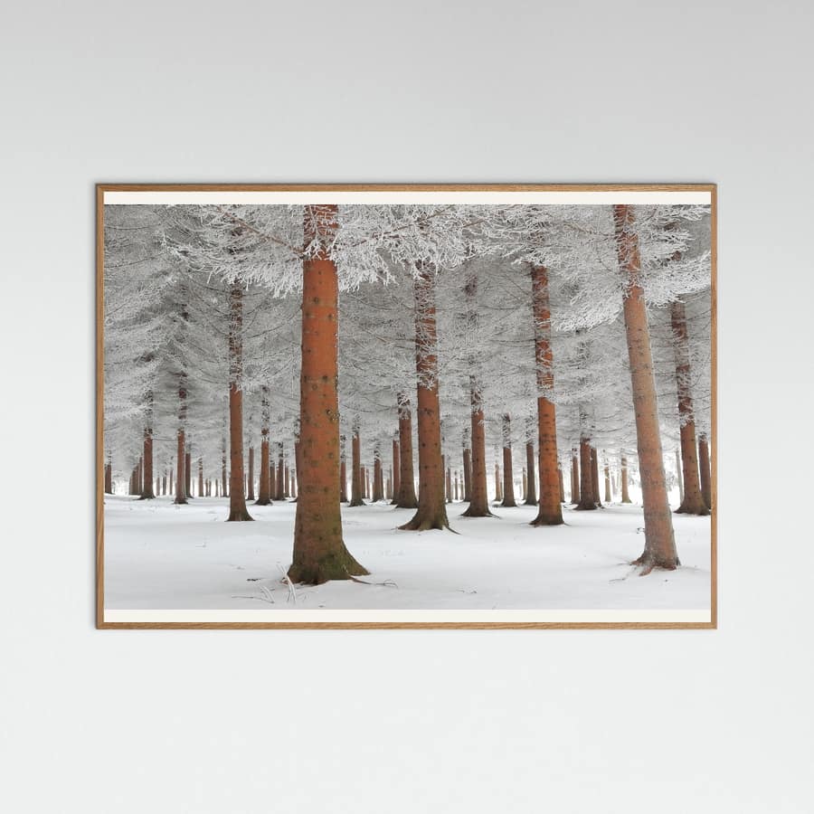 Affiche In White – affiche et impression d’art