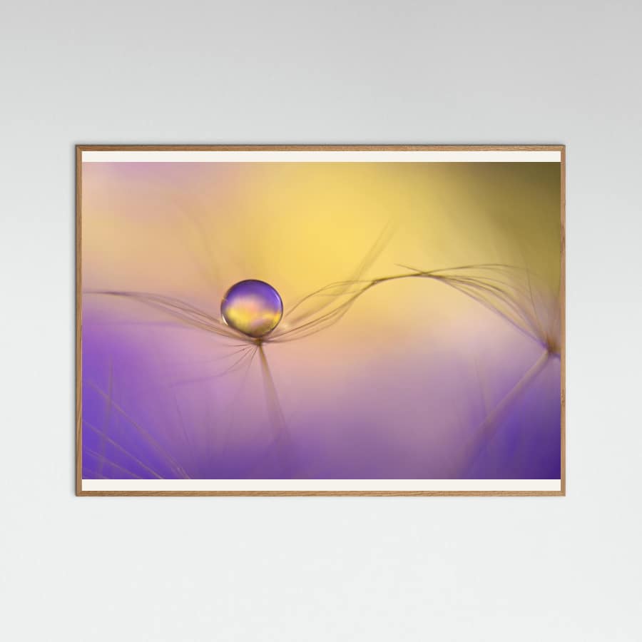 In arms Poster – poster en kunstdruk