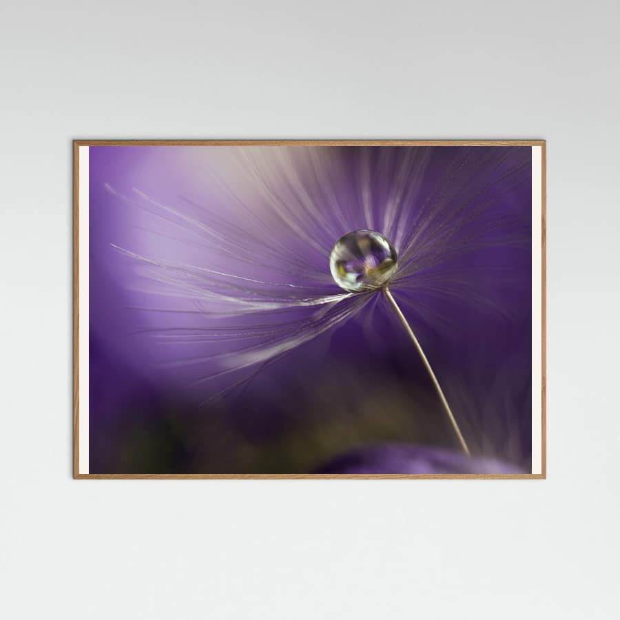 Poster In shades of purple