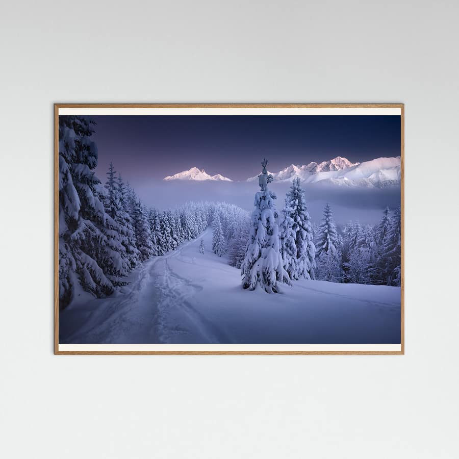 In the Winter Poster
