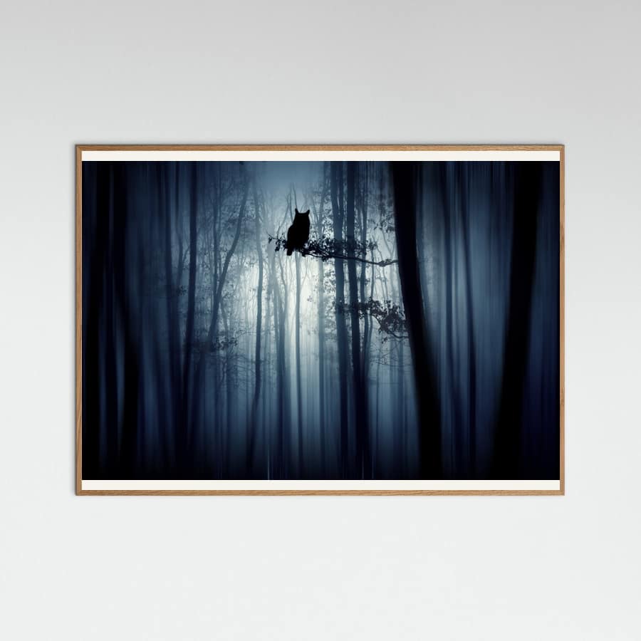 Plakat In the forest – plakat i druk artystyczny