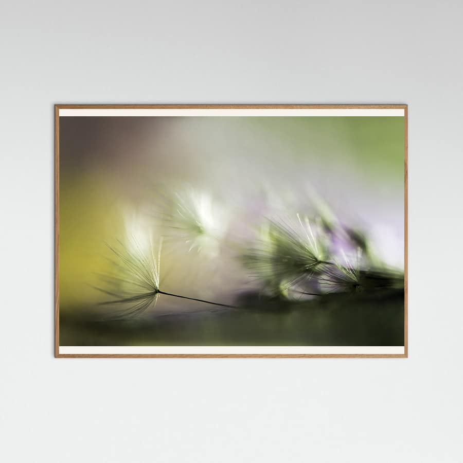 In the morning Poster – plakat og kunsttryk