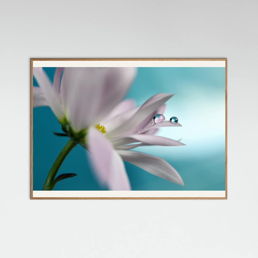 In turquoise Company Poster – poster en kunstdruk