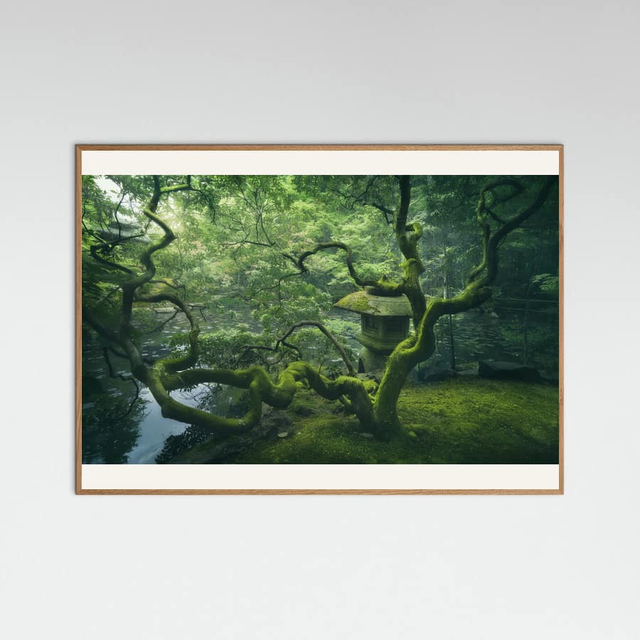 Plakat Japanese Tree