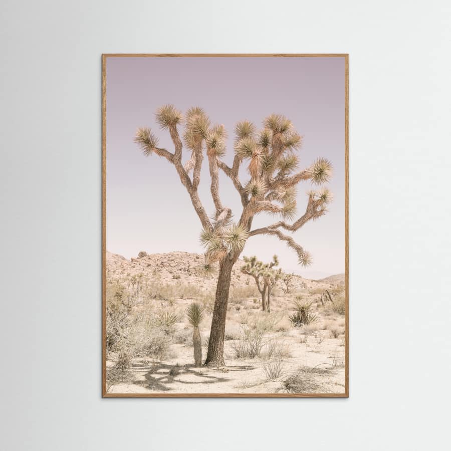 Affiche Joshua Tree