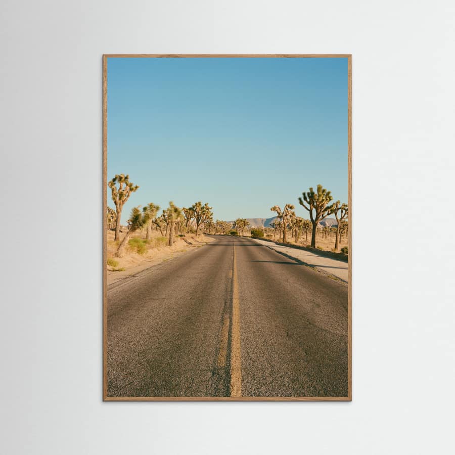 Joshua Tree Road II Poster