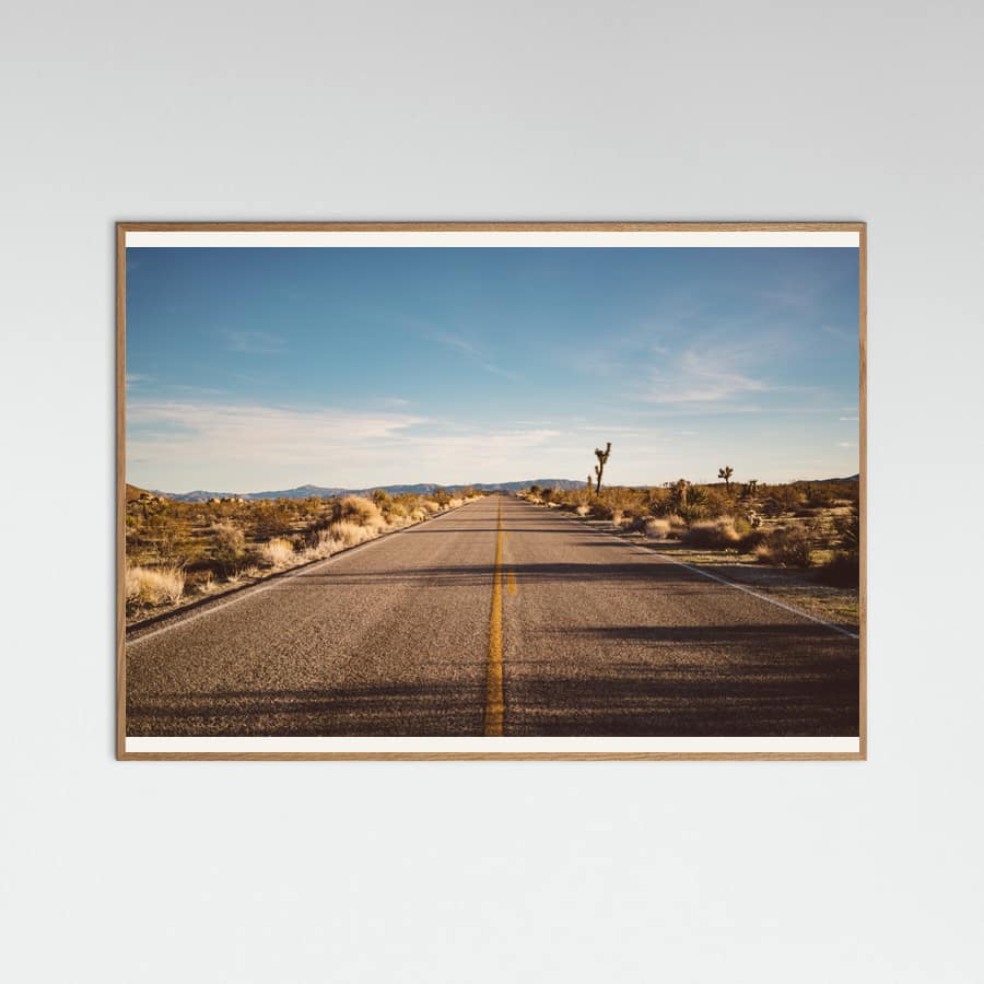 Joshua Tree Road Poster
