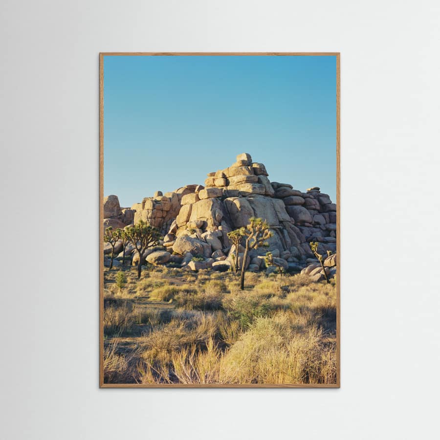 Joshua Tree Sunset Poster