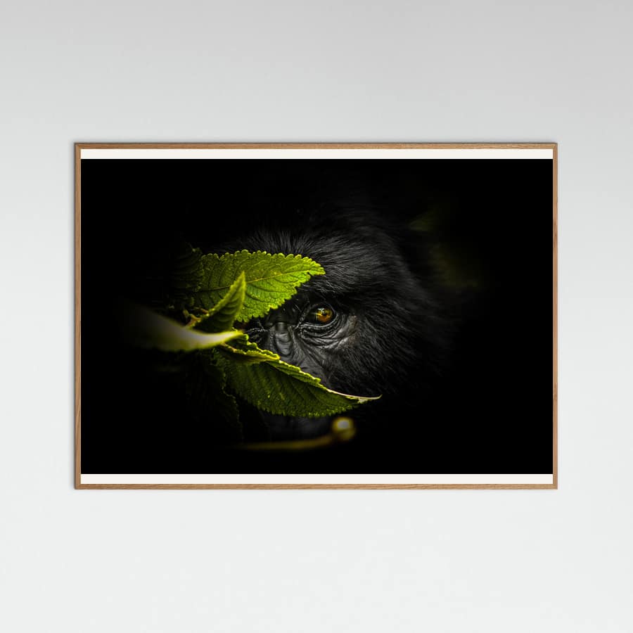 Plakat Keeping secrets – plakat i druk artystyczny