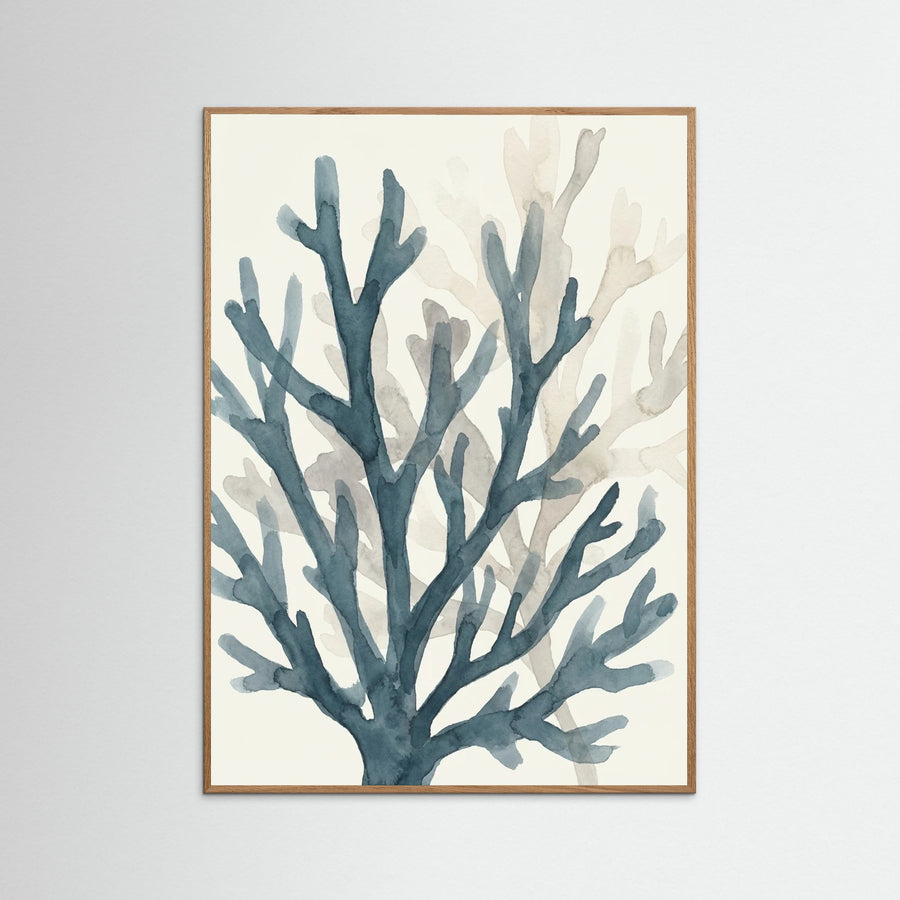 Kelp Currents