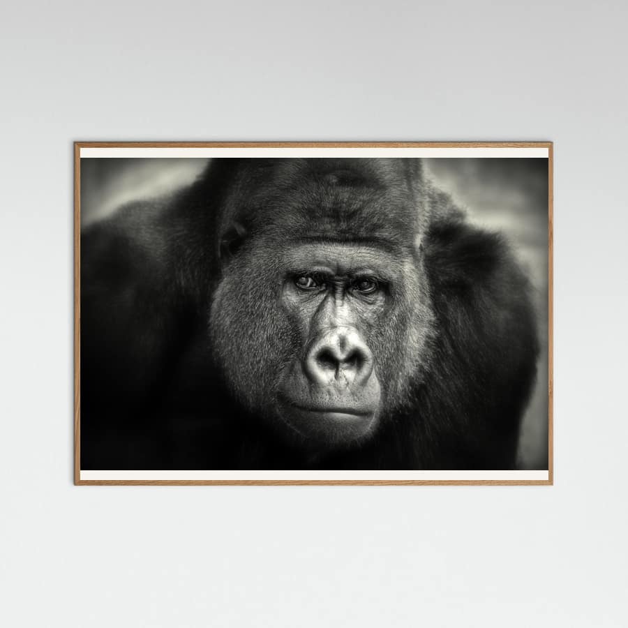 LITTLE SMILE .... Poster