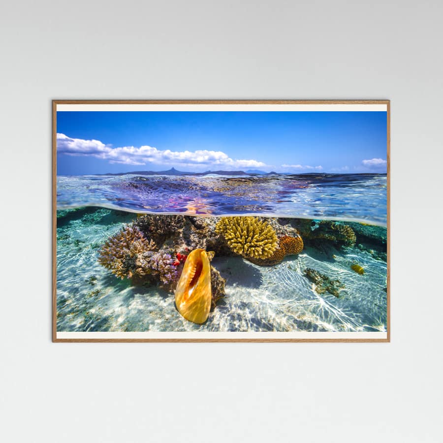 Lagoon life -juliste – juliste ja taidepainatus