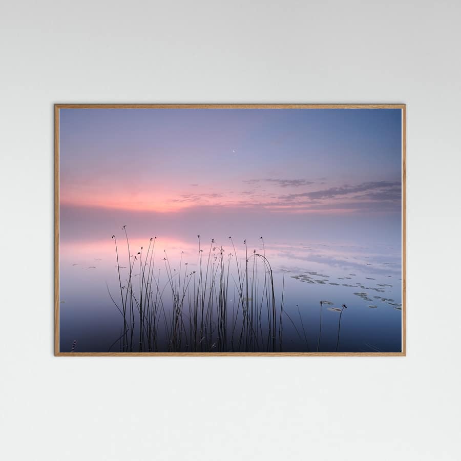 Lake Poster