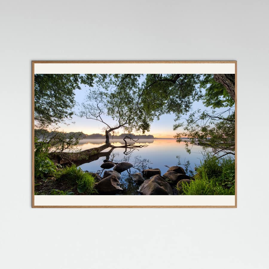 Lake view Poster