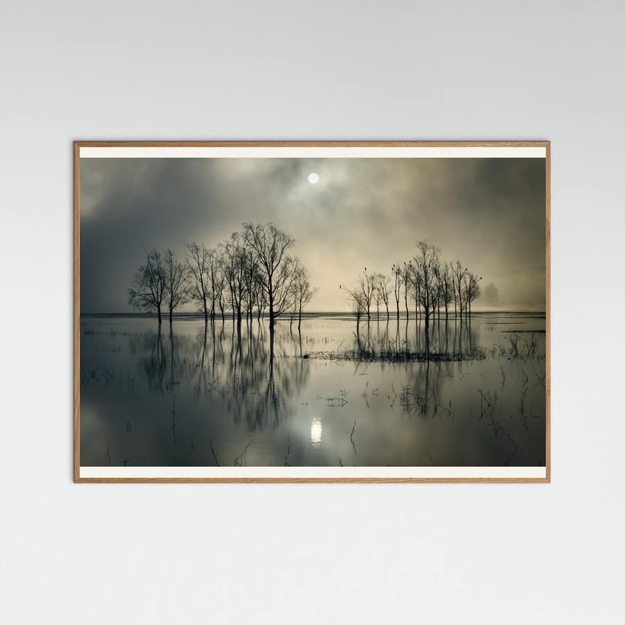 Lake's Secret Poster