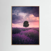 Oak Nature Lavender Fields, Isparta Poster
