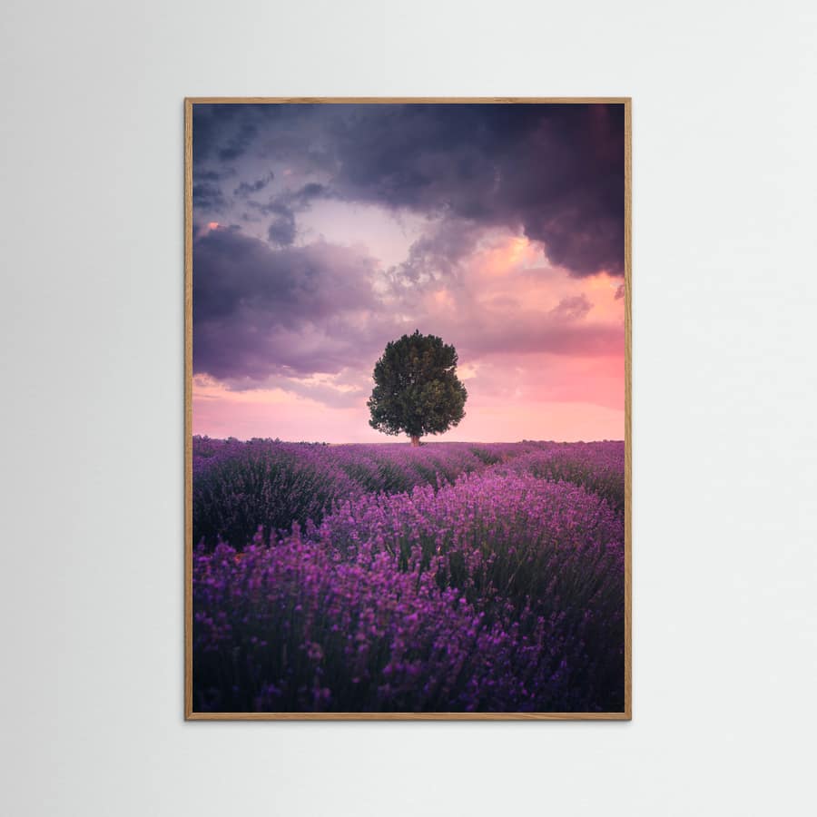 Lavender Fields, Isparta Poster – poster and art print