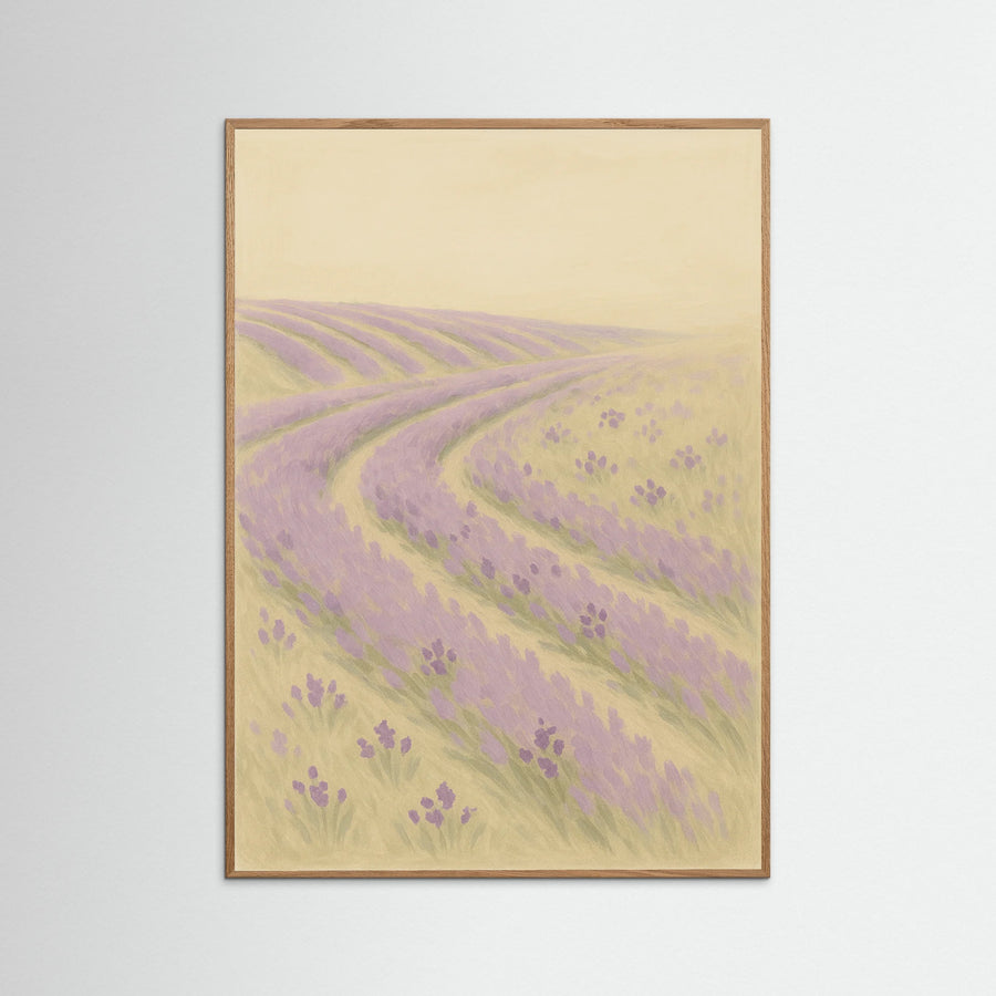 Lavender Fields
