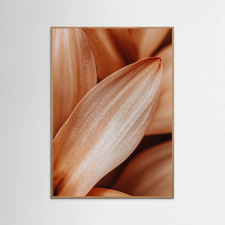 Leafdetail Poster – plakat og kunsttryk