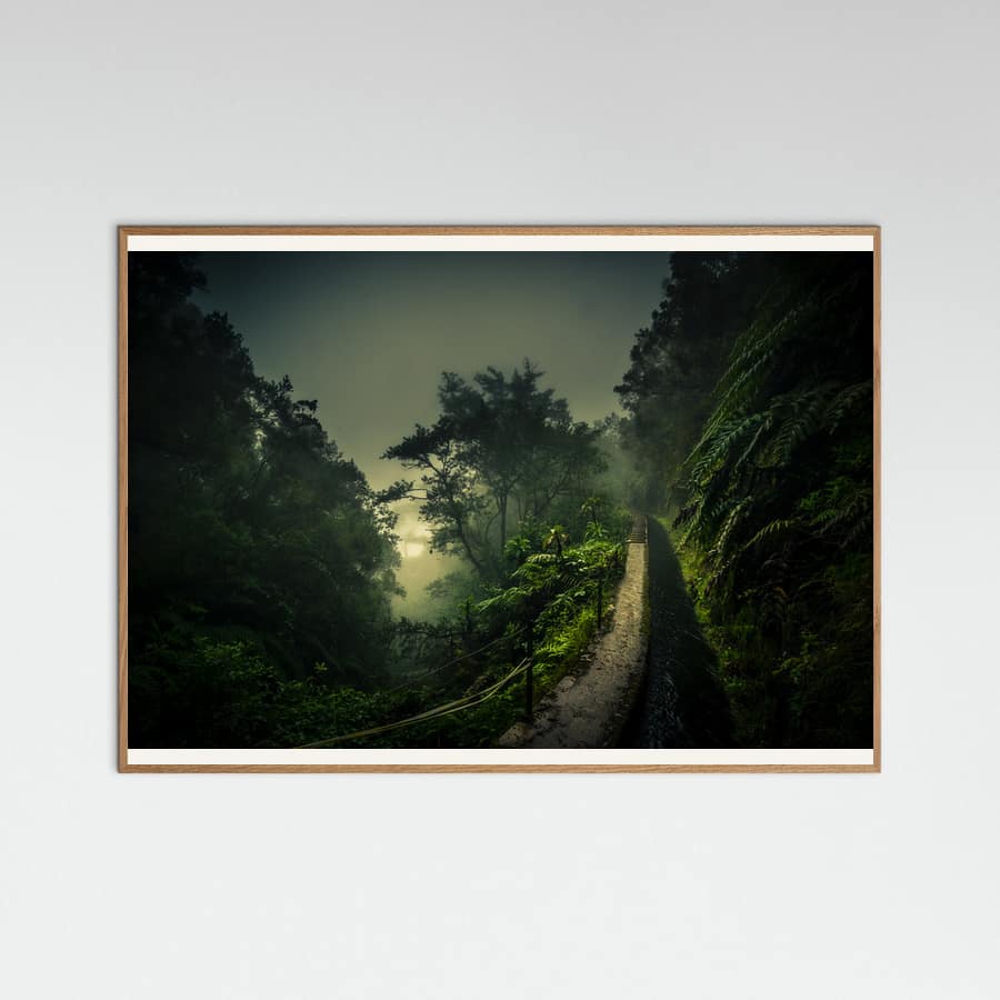 Levada Walk Poster – poster en kunstdruk