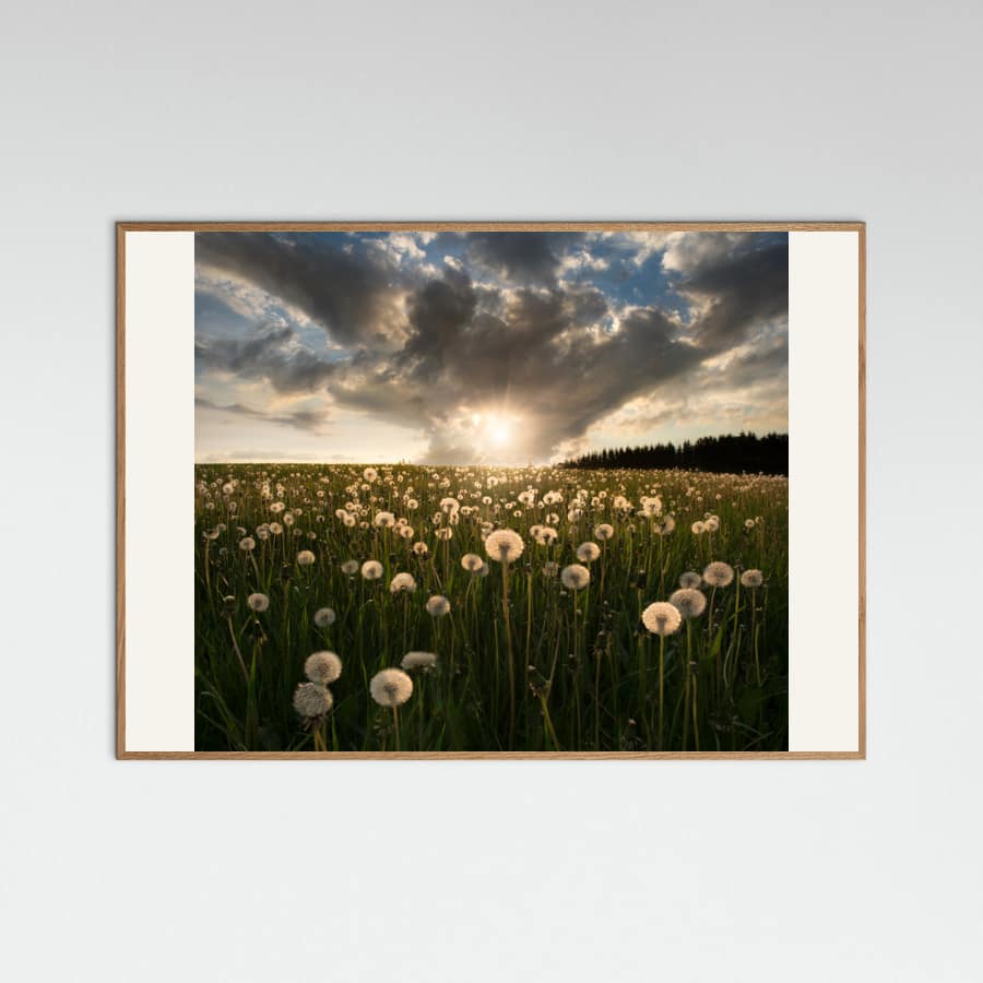 Lightbulbs Poster