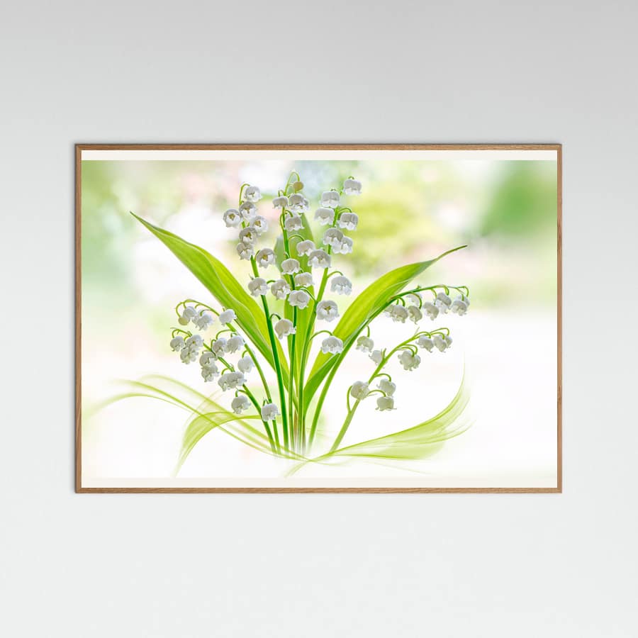Lily of the valley Poster