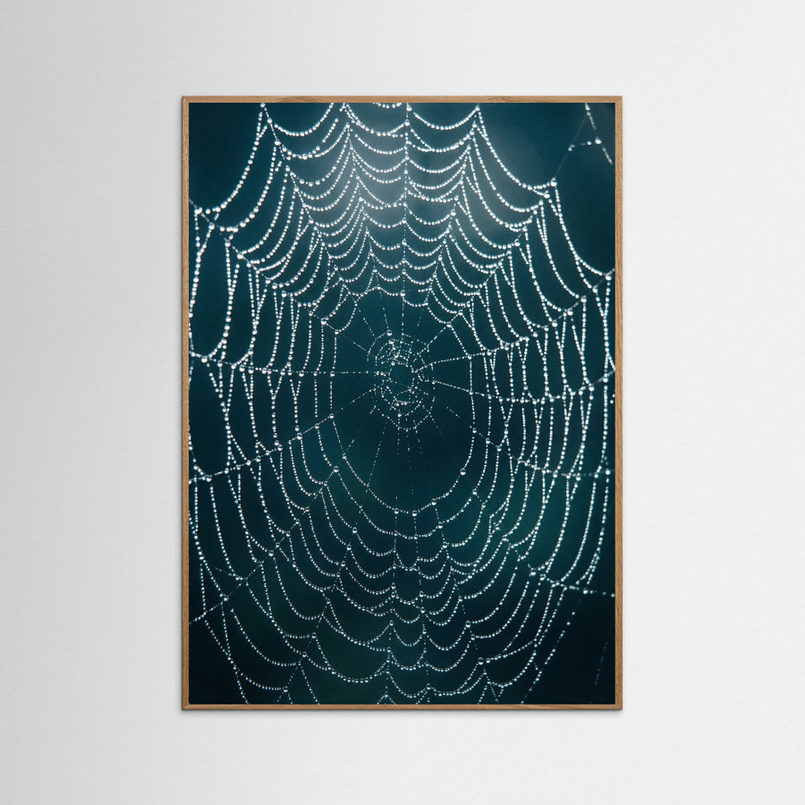 Liquid Light - Plakat