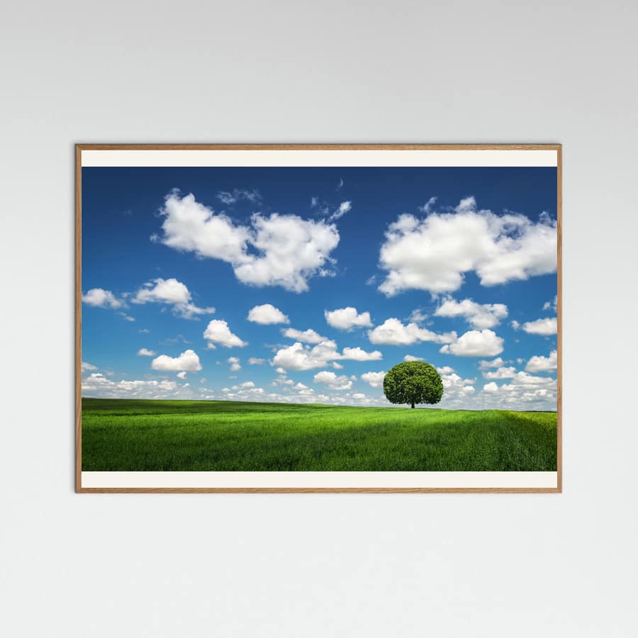 Lonely Tree Poster