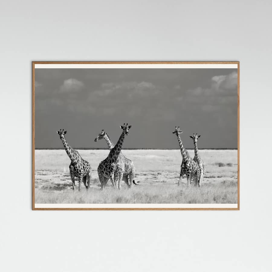 Look Girl Strange Animals -juliste