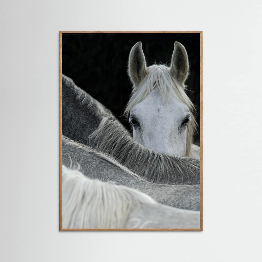 Look Poster – plakat og kunsttryk