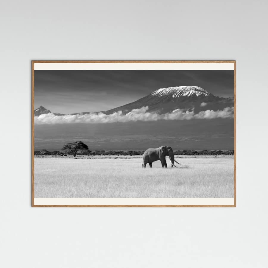 Lost Colors II Poster – Poster und Kunstdruck