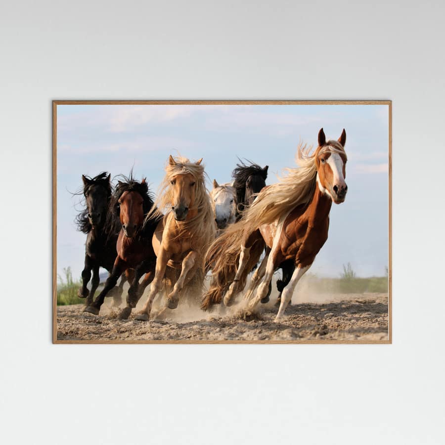 Lucky Six Poster – plakat og kunsttryk