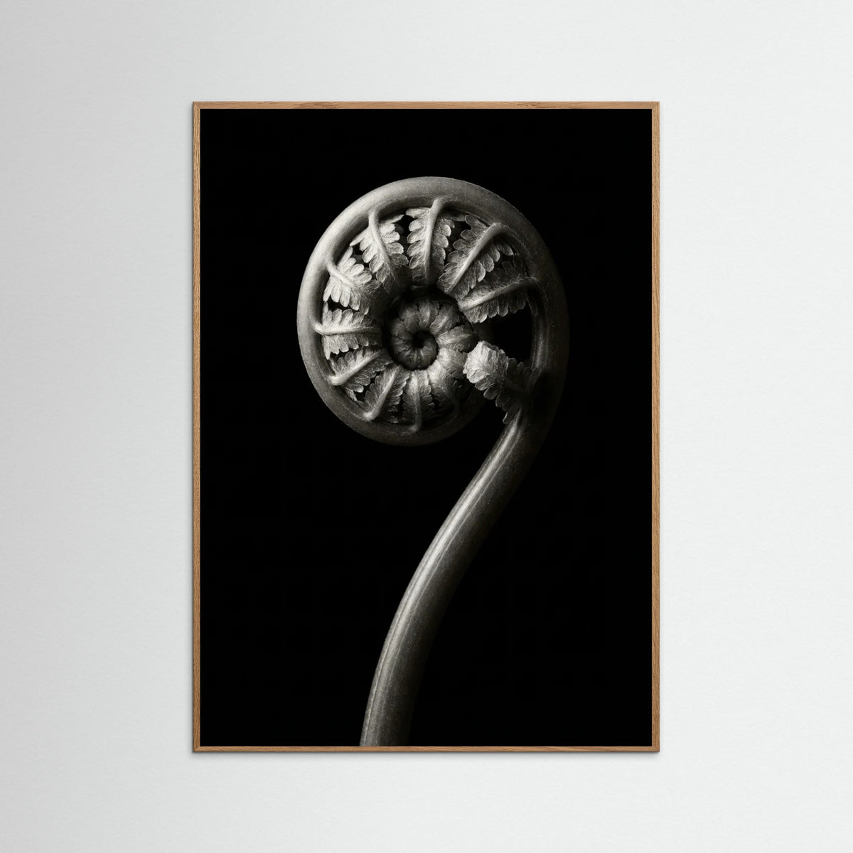 Oak Nature Luminous Curve