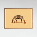 Oak Nature Lydia the Leggiest Cowgirl Spider Poster